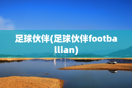 足球伙伴(足球伙伴footballian)