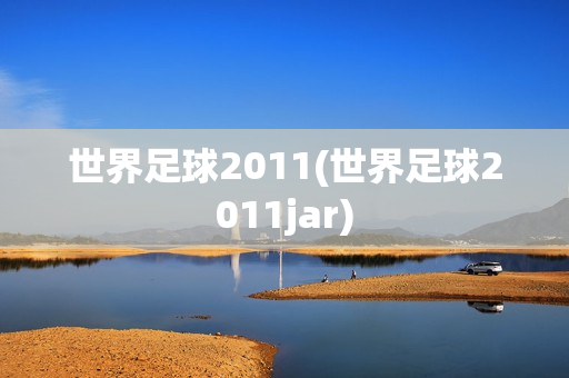 世界足球2011(世界足球2011jar)