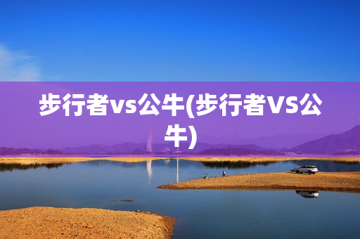 步行者vs公牛(步行者VS公牛)