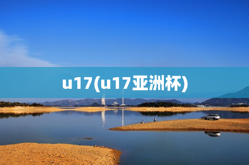 u17(u17亚洲杯)