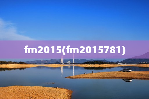 fm2015(fm2015781)