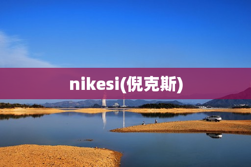 nikesi(倪克斯)