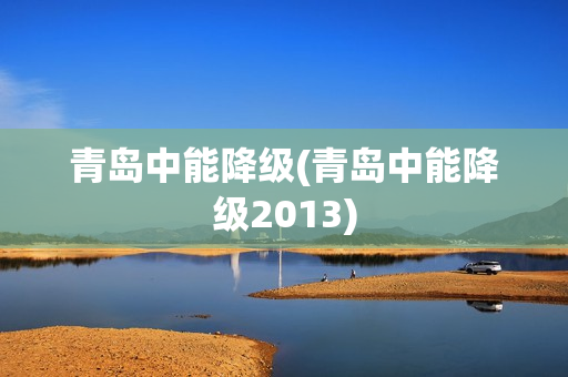 青岛中能降级(青岛中能降级2013)