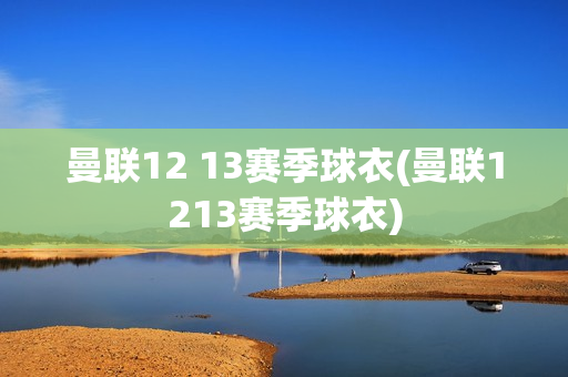 曼联12 13赛季球衣(曼联1213赛季球衣)