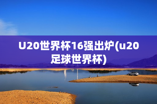 U20世界杯16强出炉(u20足球世界杯)