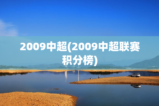 2009中超(2009中超联赛积分榜)