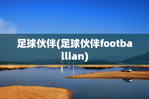 足球伙伴(足球伙伴footballian)