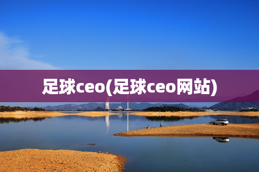 足球ceo(足球ceo网站)