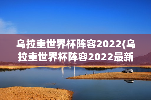 乌拉圭世界杯阵容2022(乌拉圭世界杯阵容2022最新)