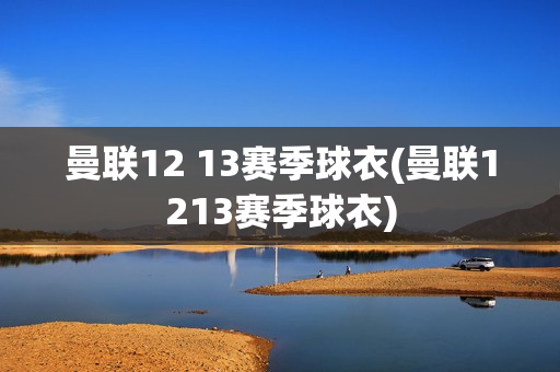 曼联12 13赛季球衣(曼联1213赛季球衣)