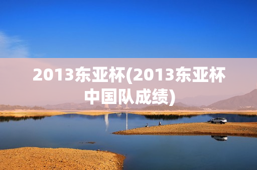 2013东亚杯(2013东亚杯中国队成绩)