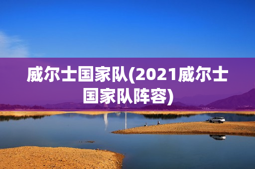 威尔士国家队(2021威尔士国家队阵容)