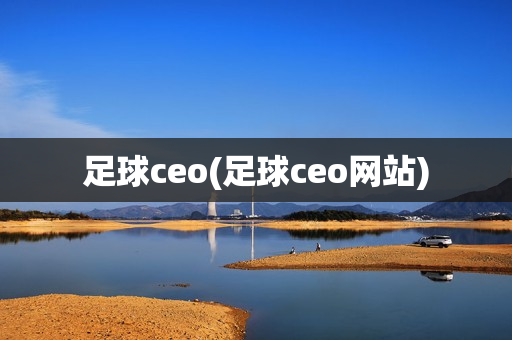 足球ceo(足球ceo网站)