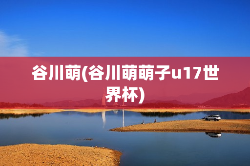 谷川萌(谷川萌萌子u17世界杯)