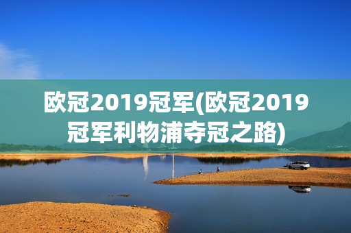 欧冠2019冠军(欧冠2019冠军利物浦夺冠之路)