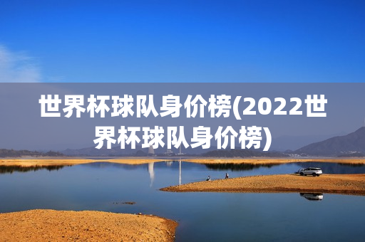 世界杯球队身价榜(2022世界杯球队身价榜)