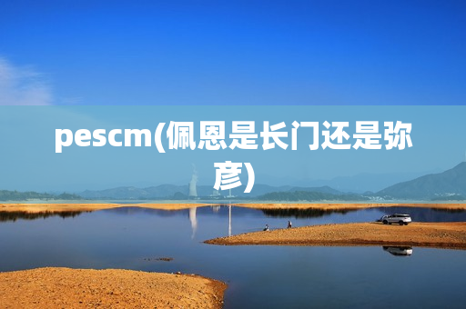 pescm(佩恩是长门还是弥彦)