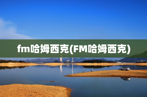 fm哈姆西克(FM哈姆西克)