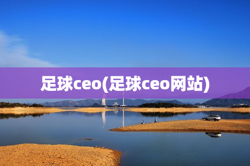 足球ceo(足球ceo网站)