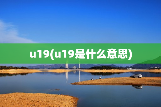 u19(u19是什么意思)