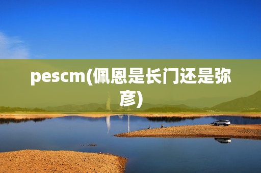 pescm(佩恩是长门还是弥彦)