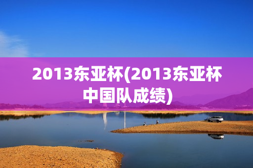 2013东亚杯(2013东亚杯中国队成绩)