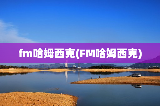 fm哈姆西克(FM哈姆西克)