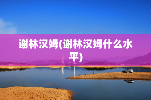 谢林汉姆(谢林汉姆什么水平)