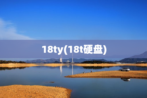 18ty(18t硬盘)