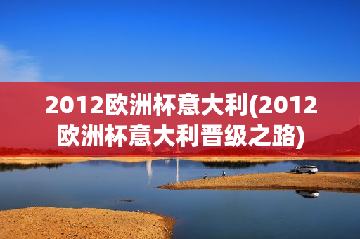 2012欧洲杯意大利(2012欧洲杯意大利晋级之路)