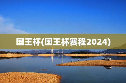 国王杯(国王杯赛程2024)