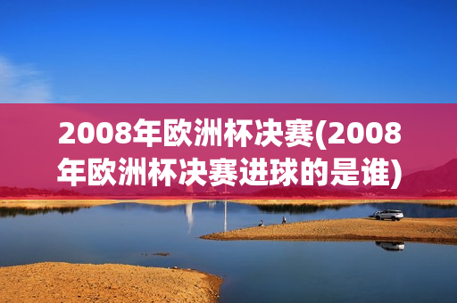 2008年欧洲杯决赛(2008年欧洲杯决赛进球的是谁)