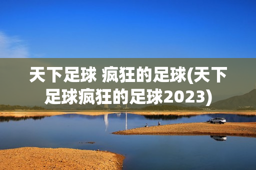 天下足球 疯狂的足球(天下足球疯狂的足球2023)