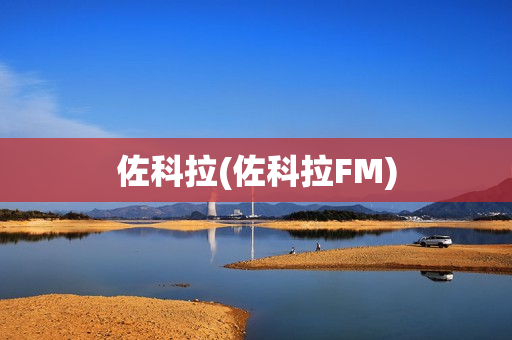 佐科拉(佐科拉FM)