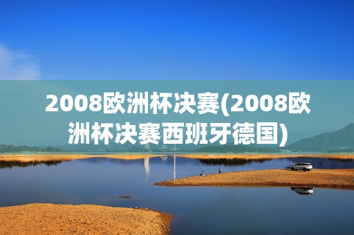 2008欧洲杯决赛(2008欧洲杯决赛西班牙德国)