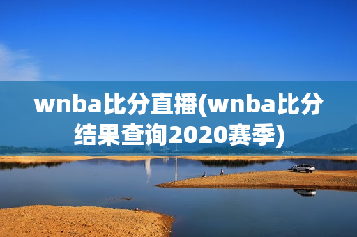 wnba比分直播(wnba比分结果查询2020赛季)