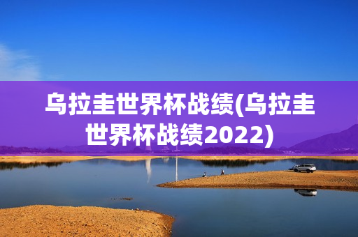 乌拉圭世界杯战绩(乌拉圭世界杯战绩2022)