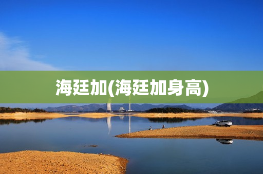 海廷加(海廷加身高)