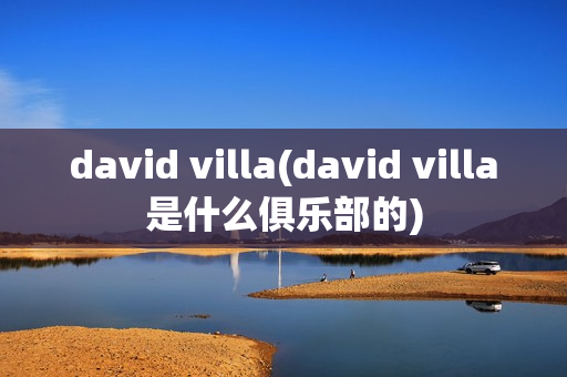 david villa(david villa是什么俱乐部的)