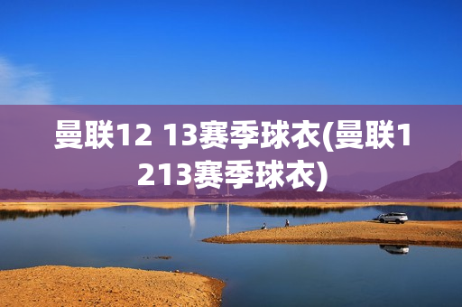 曼联12 13赛季球衣(曼联1213赛季球衣)