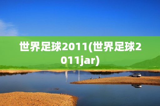 世界足球2011(世界足球2011jar)