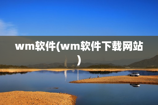 wm软件(wm软件下载网站)