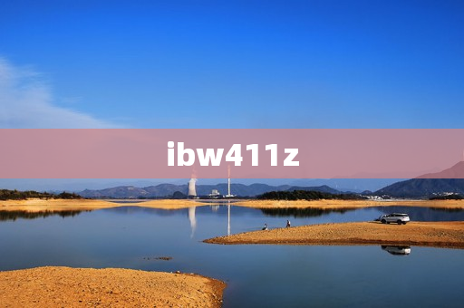 ibw411z