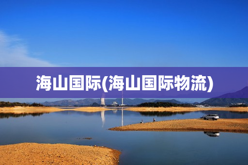 海山国际(海山国际物流)