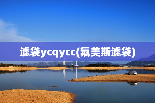 滤袋ycqycc(氟美斯滤袋)