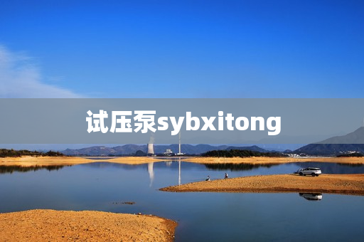 试压泵sybxitong