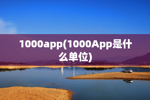 1000app(1000App是什么单位)