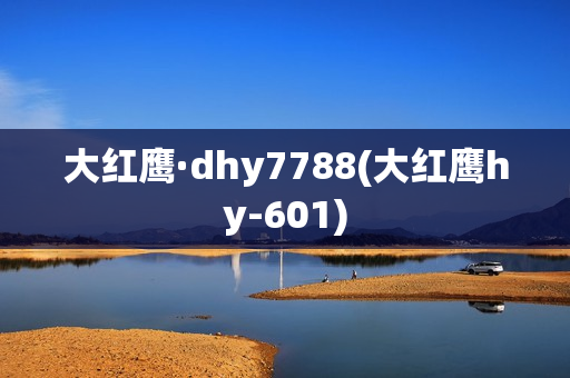 大红鹰·dhy7788(大红鹰hy-601)