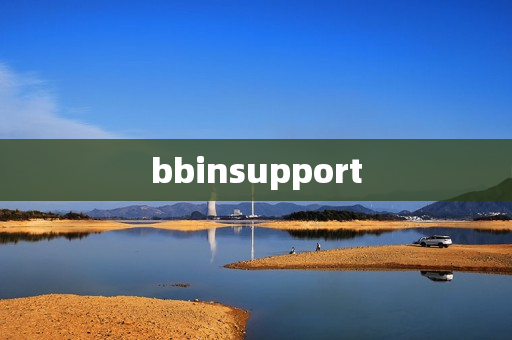 bbinsupport