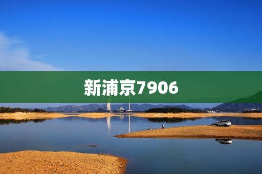 新浦京7906